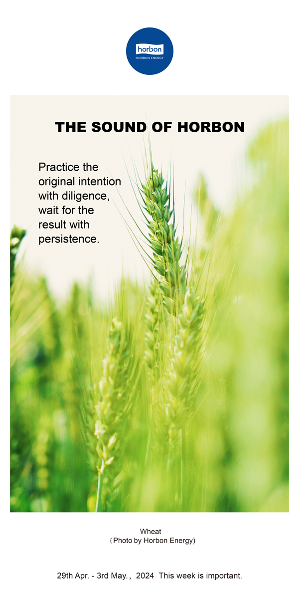 【和之声】用勤劳践行初心，，，，，，用坚持期待效果。。。。。。。（总第132期）2024.4.29-5英文改小季度推送用.jpg