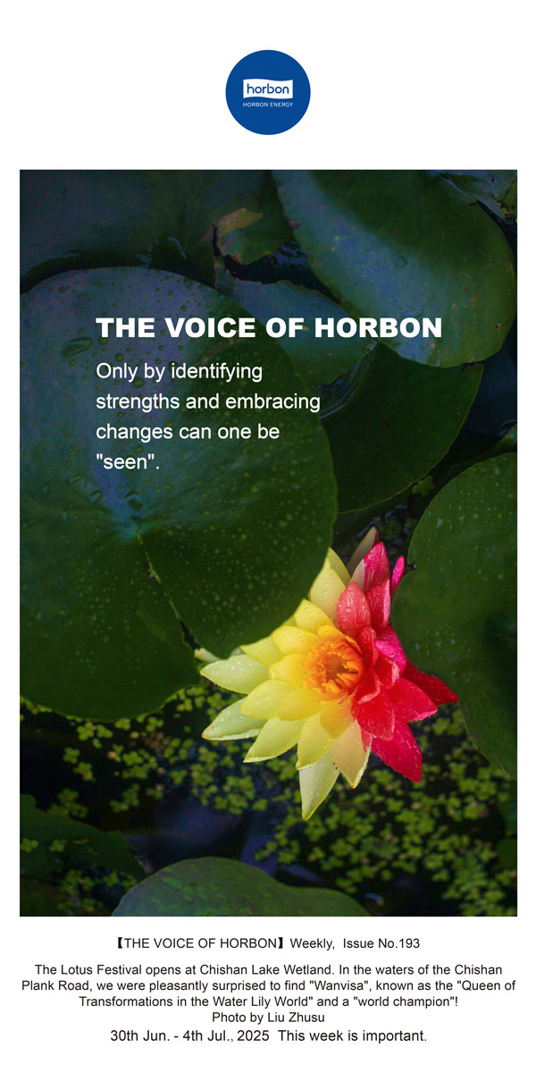 【和之声】找准优势、拥抱转变，，，，，，才华“被望见”。。。。。(总第193期）--2025.6英文导出季度推送用.jpg