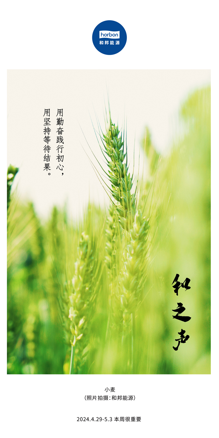 【和之声】用勤劳践行初心，，，，，，，，用坚持期待效果。。。。。。。。（总第132期）2024.4.29-5中文改小季度推送用.jpg