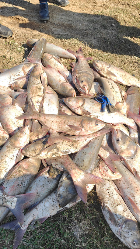 2024.11.23-【和之行】总要来场“冬捕”吧。。。。。。ㄐ⊙┙谄惫び闾痢岸丁蓖沤ㄔ硕┬挛排渫几男⊥011.jpg