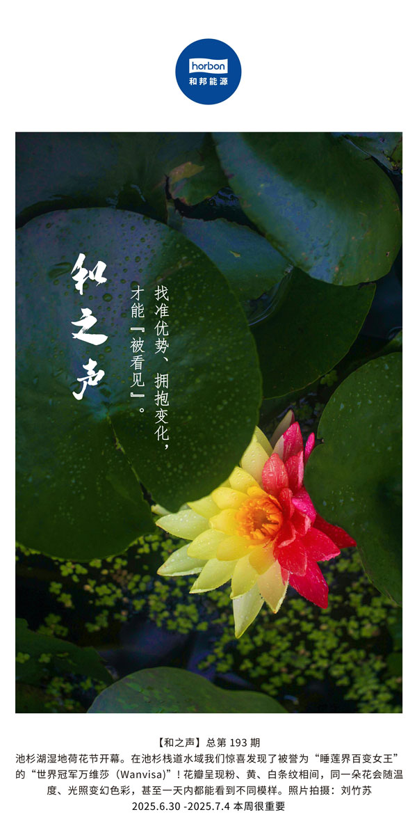 【和之声】找准优势、拥抱转变，，，，，才华“被望见”。。。。。。。。(总第193期）--2025.6中文导出季度推送用.jpg