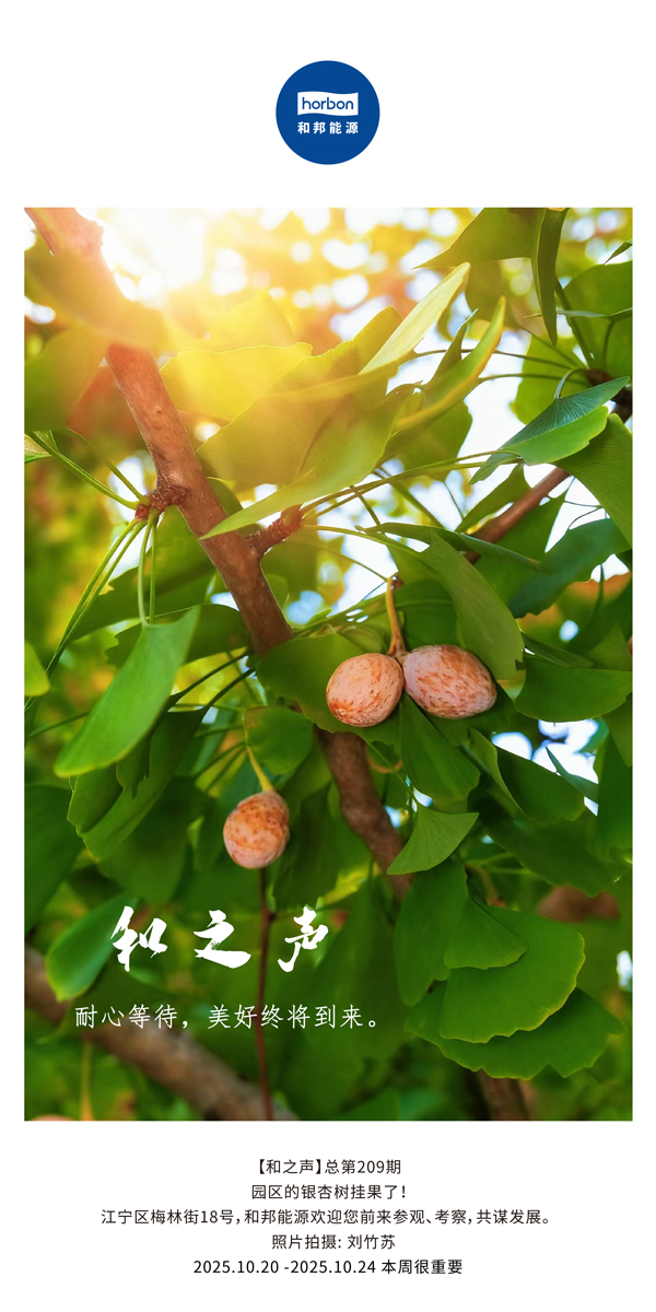 【和之声】耐心期待，，，，，，，，优美终将到来。。。。。。。-(总第209期）2025.10.20中文导出季度推送用.jpg